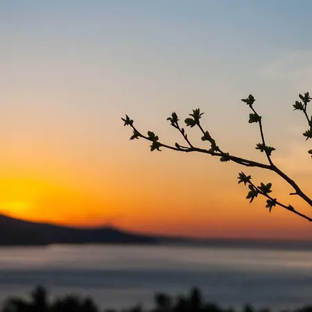 Boreas * Jasenice (Zadar)