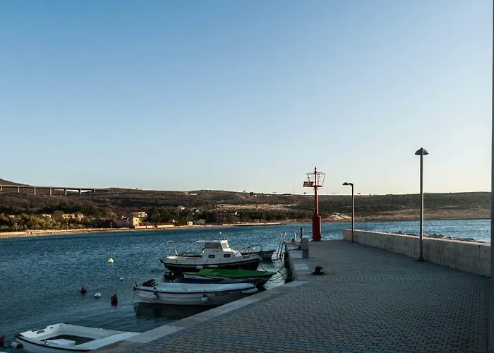 Boreas * 야세니스