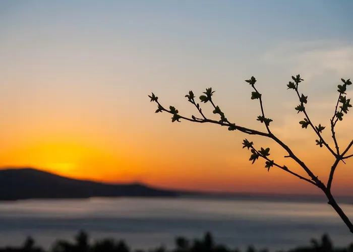 Boreas * Jasenice (Zadar)